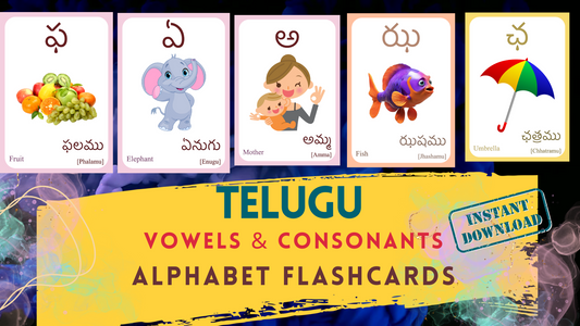 Telugu Alphabet FLASHCARD with picture, Vowels and Consonants, Learning Telugu, Telugu Letter Flashcard,Telugu Language Digital Download