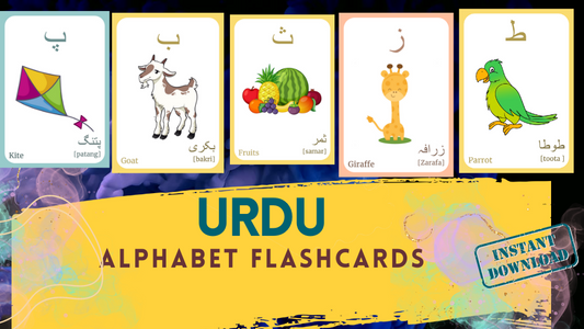 URDU Alphabet FLASHCARD with picture, Learning URDU, Urdu Letter Flashcard, UrduLanguage, Pdf flashcards, Digital Download