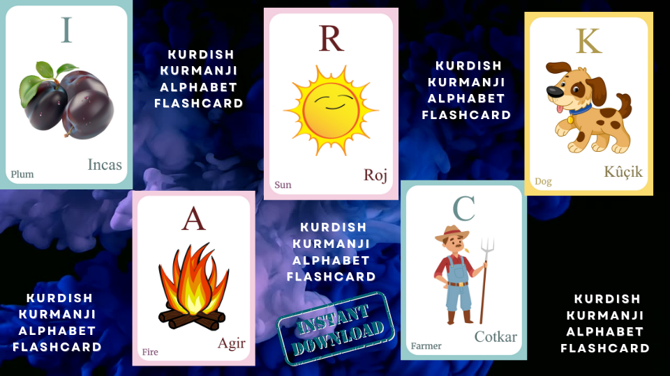 Kurdish Alphabet FLASHCARD with picture, Learning Kurdish, Kurdish Letter Flashcard,Kurdish Language