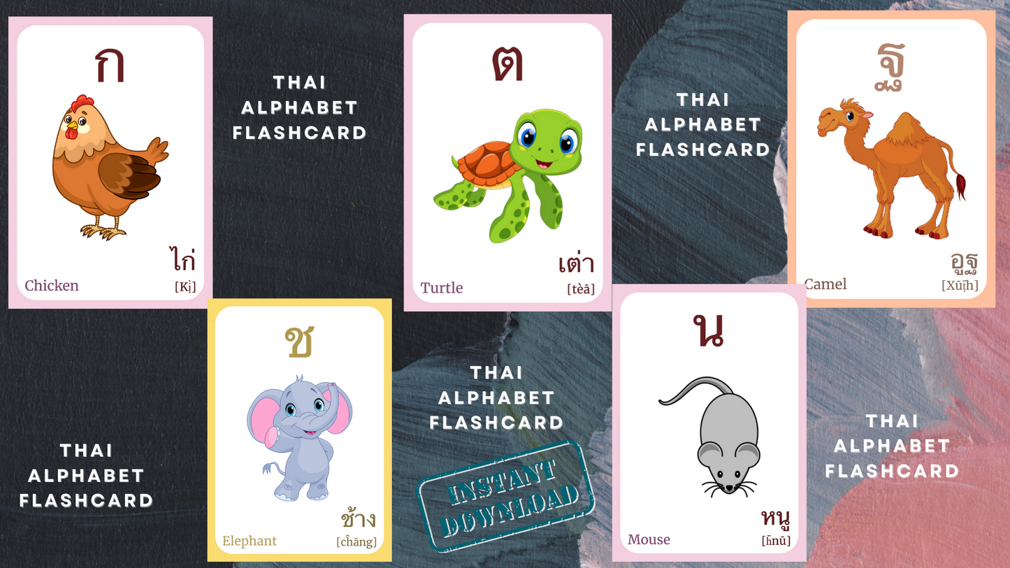 THAI Alphabet FLASHCARD with picture, Learning THAI, Thai Letter Flashcard, Thai Language,Pdf flashcards, Digital Download