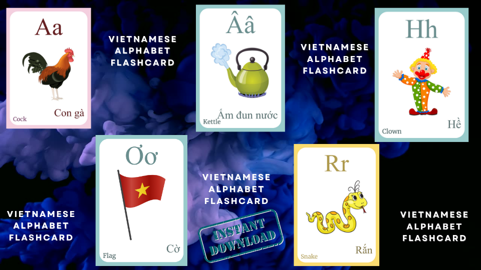 Vietnamese Alphabet FLASHCARD with picture, Learning Vietnamese, Vietnamese Letter Flashcard,Vietnamese Language