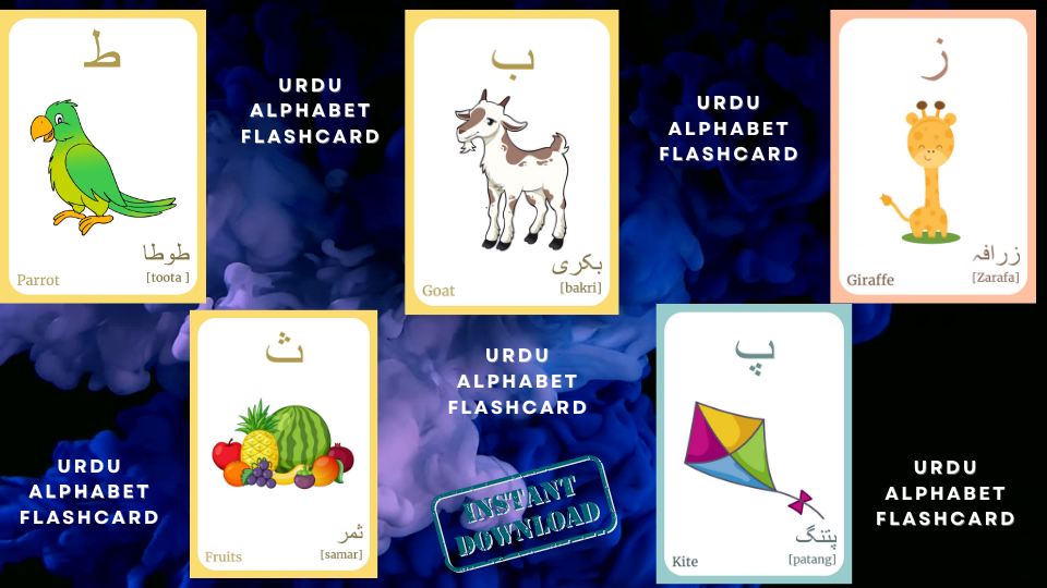 URDU Alphabet FLASHCARD with picture, Learning URDU, Urdu Letter Flashcard, UrduLanguage, Pdf flashcards, Digital Download