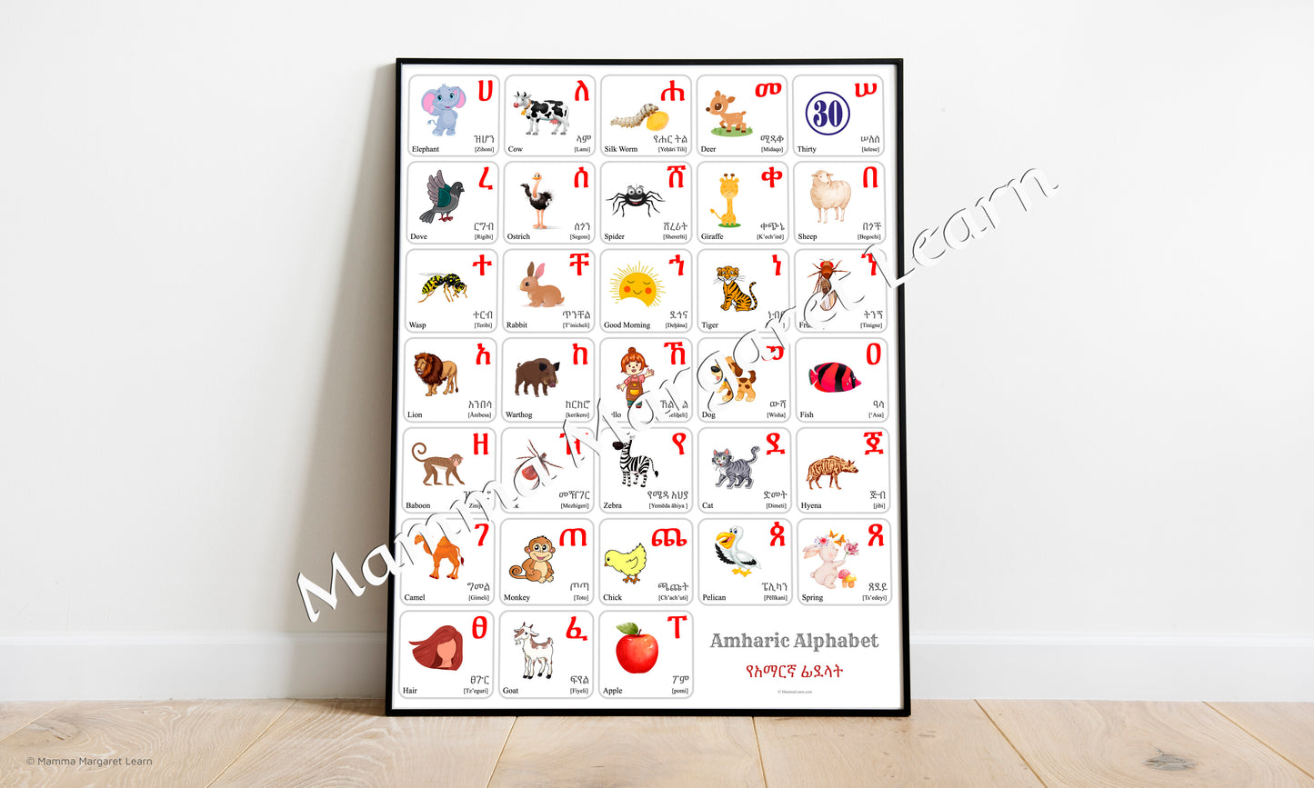 Amharic Alphabet Poster | Chart, Colorful