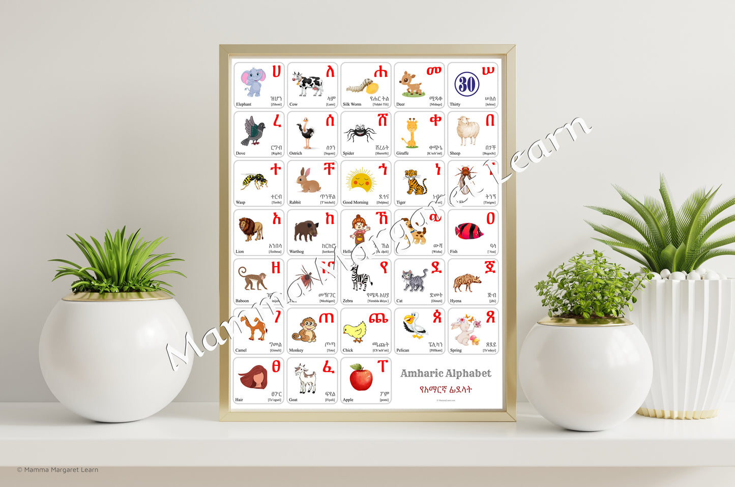 Amharic Alphabet Poster | Chart, Colorful