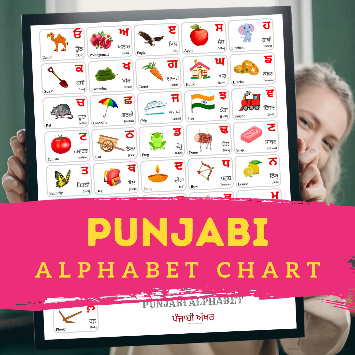 Punjabi Alphabet Poster | Chart, Colorful
