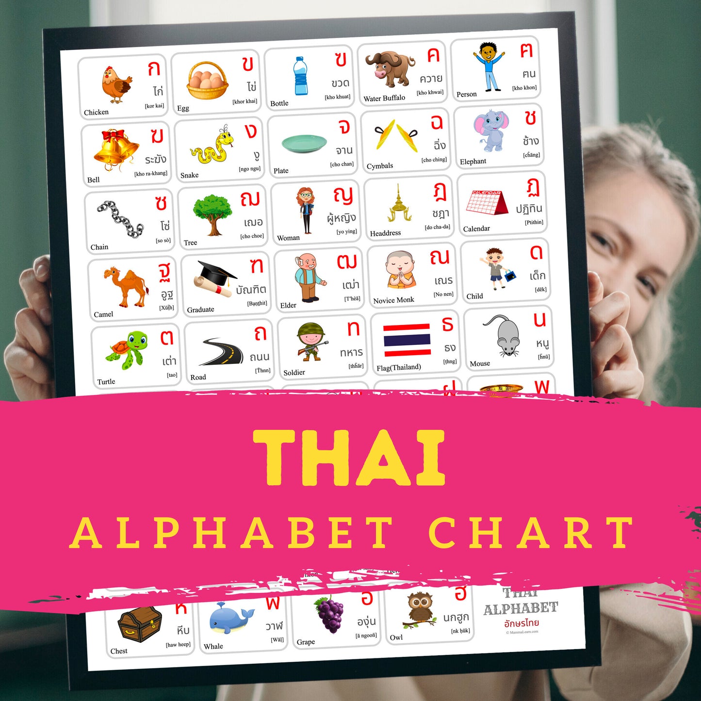 Thai Alphabet Poster | Chart, Colorful