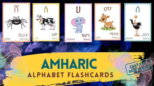 AMHARIC Alphabet FLASHCARD with picture, Learning AMHARIC, Amhari Letter Flashcard,Amharic Language,Pdf flashcards, Digital Download